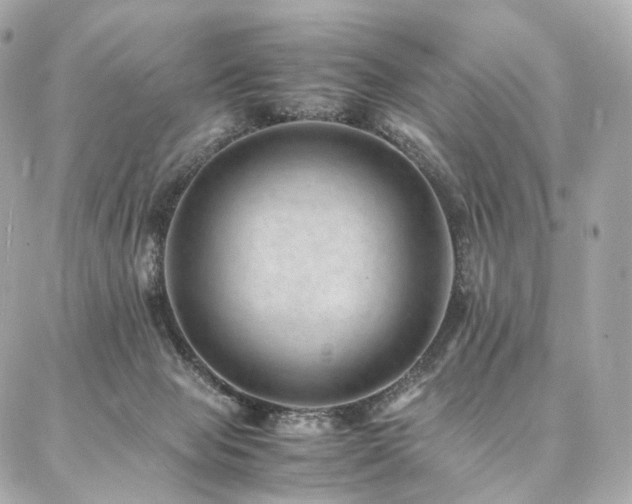 X0000086970077200704161554