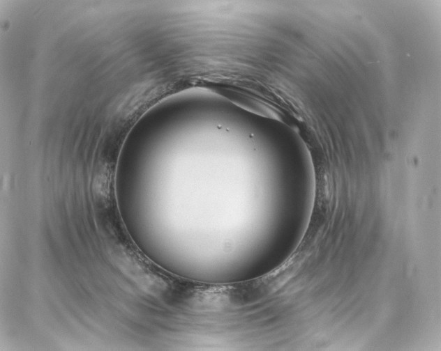 X0000086970078200704161554