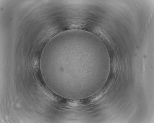 X0000086970079200704161554