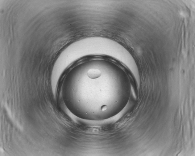 X0000086970080200704161554