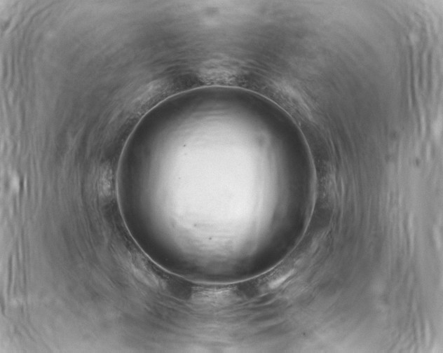 X0000086970081200704161554