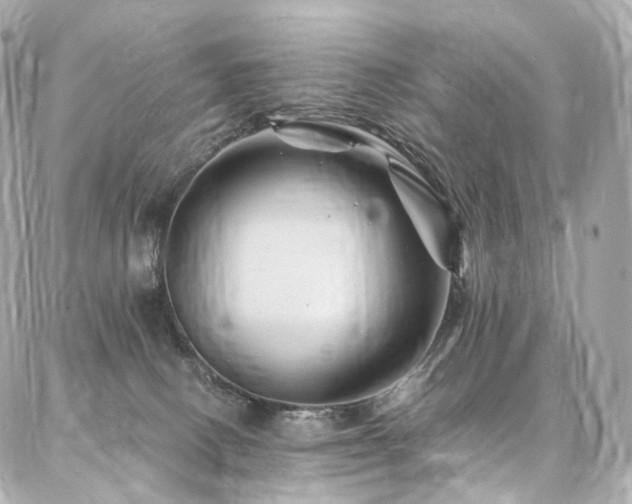 X0000086970082200704161554