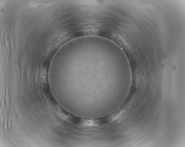 X0000086970083200704161554