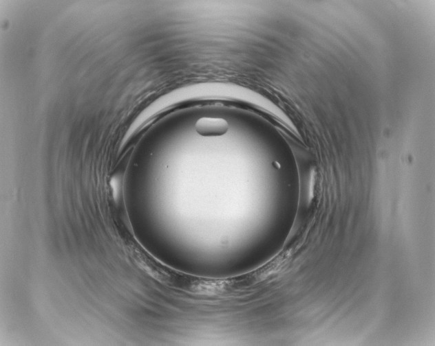 X0000086970084200704161554