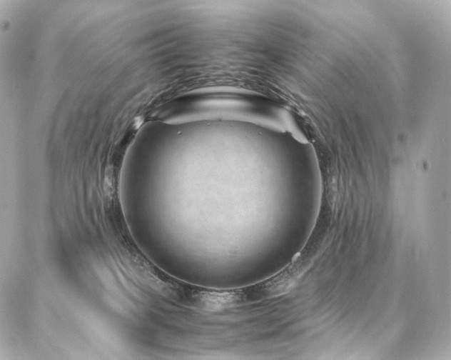 X0000086970085200704161554