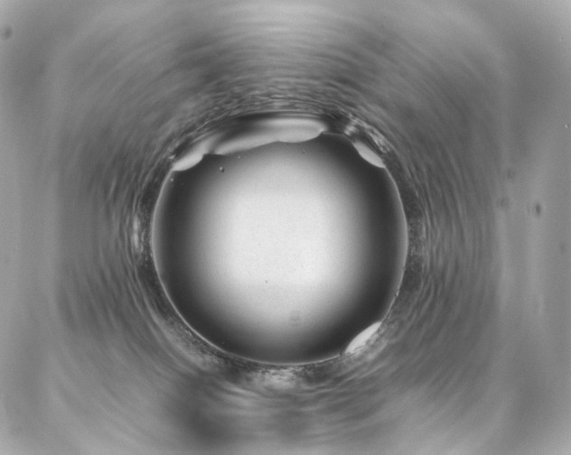 X0000086970086200704161554