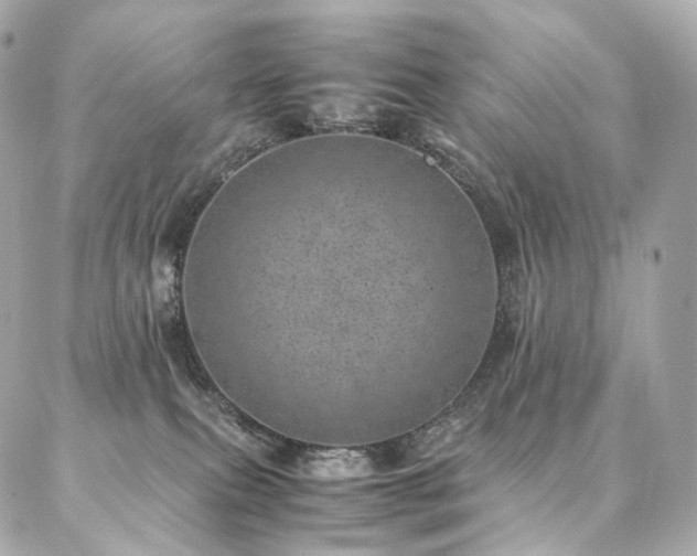 X0000086970087200704161554