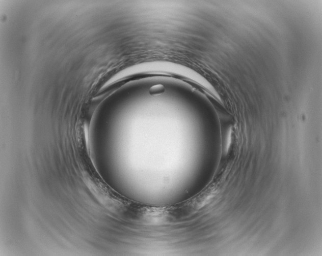 X0000086970088200704161554