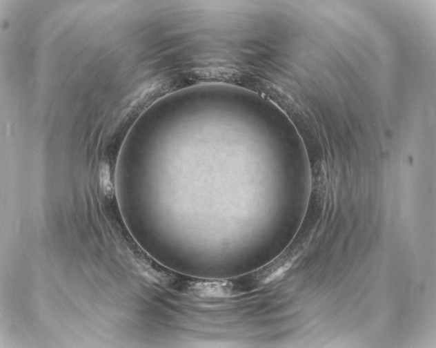 X0000086970089200704161554