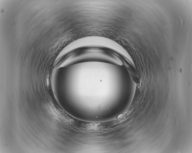 X0000086970090200704161554