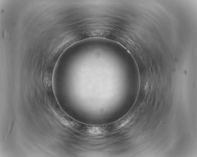 X0000086970091200704161554