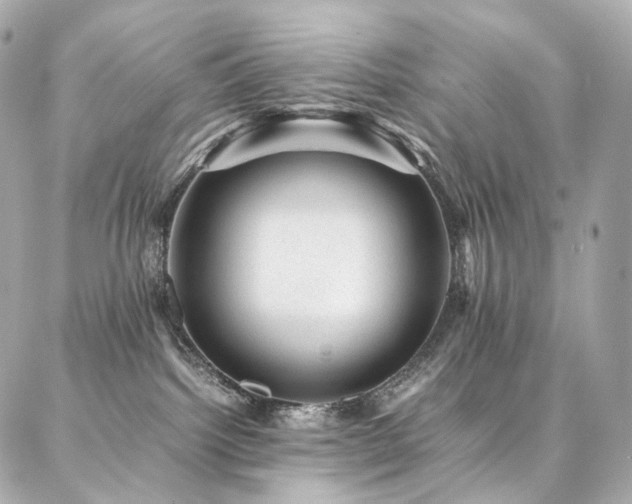 X0000086970092200704161554