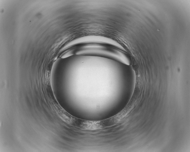 X0000086970093200704161554