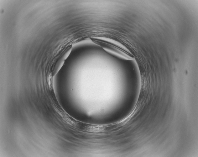 X0000086970094200704161554