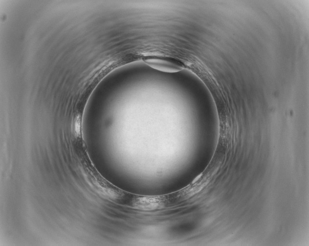 X0000086970095200704161554