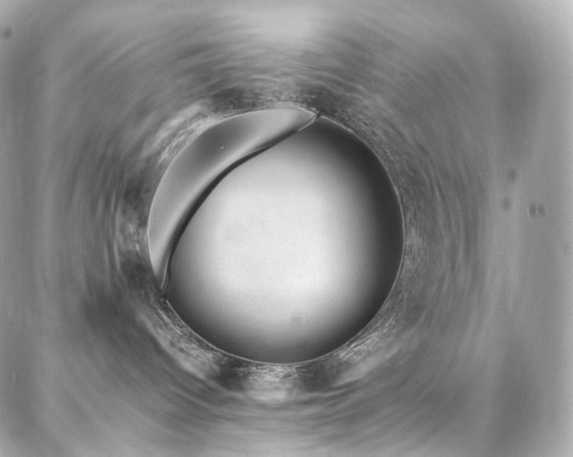 X0000086970096200704161554