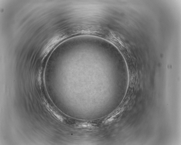 X0000086970098200704161553