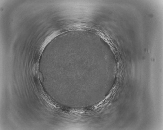 X0000086970099200704161553