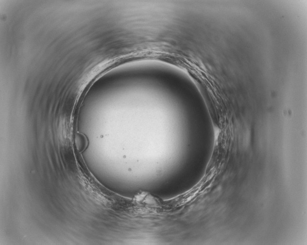 X0000086970100200704161553