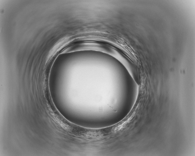 X0000086970101200704161553