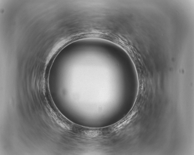 X0000086970102200704161553