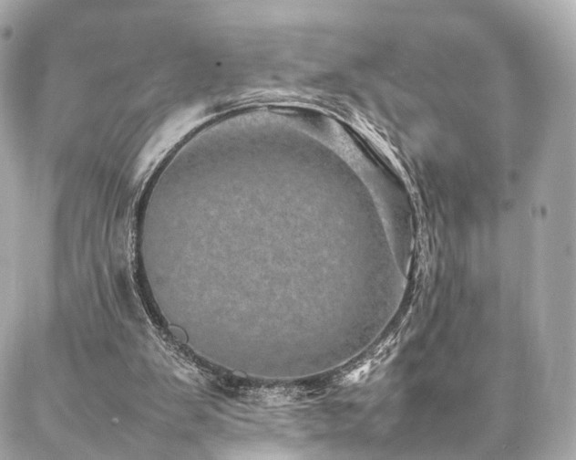 X0000086970103200704161553