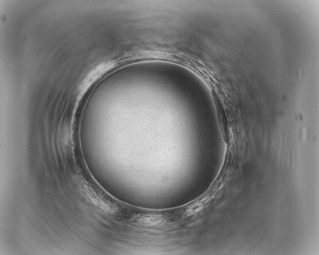 X0000086970104200704161553