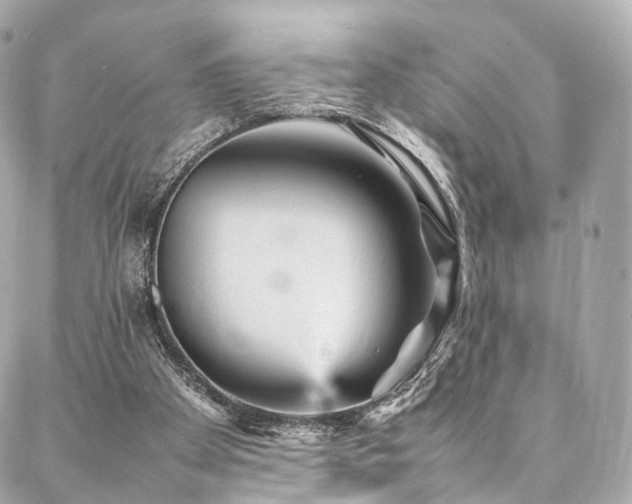 X0000086970105200704161553