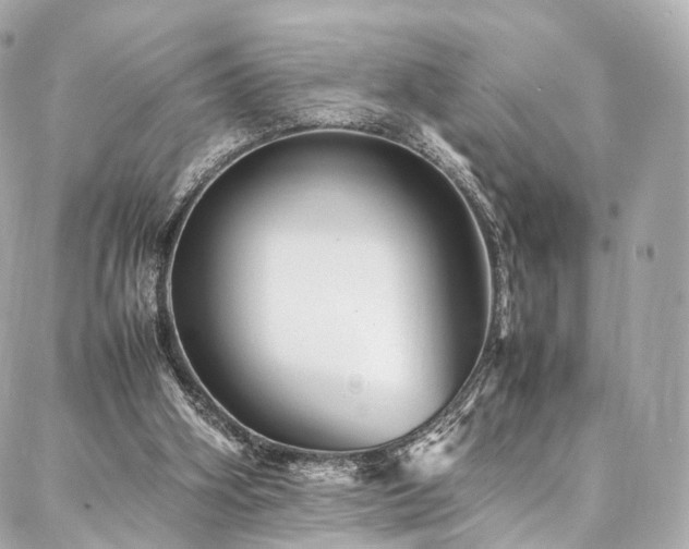 X0000086970106200704161553