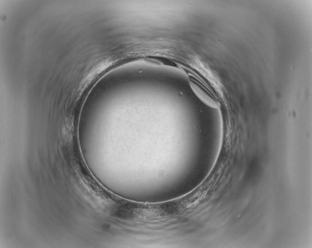 X0000086970107200704161553