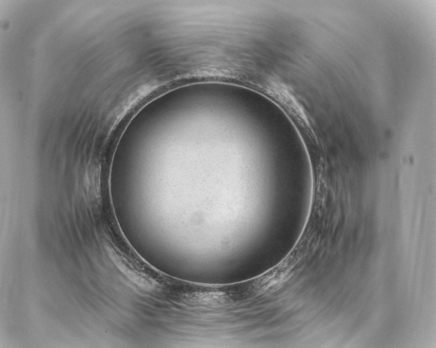 X0000086970108200704161553