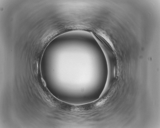 X0000086970109200704161553