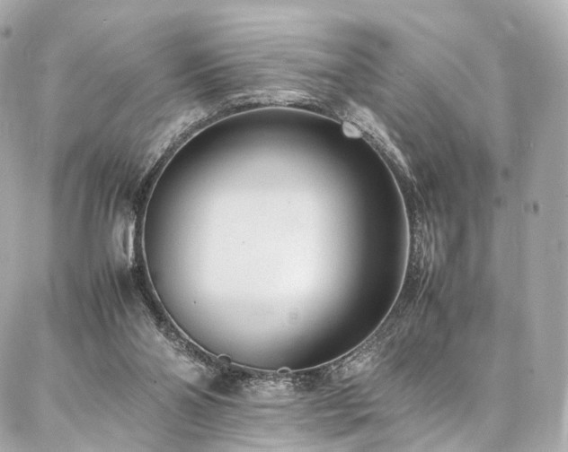 X0000086970110200704161553