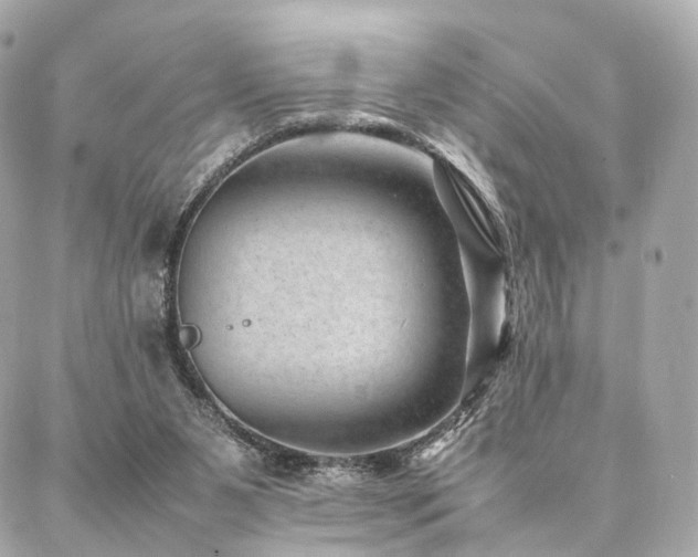 X0000086970111200704161553