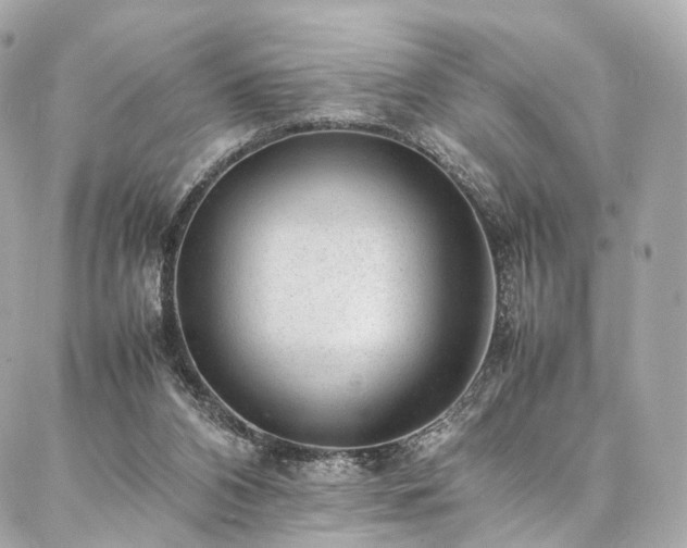 X0000086970112200704161553