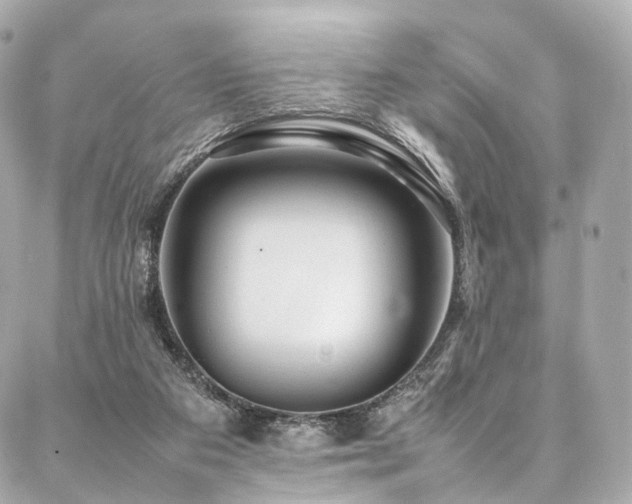 X0000086970113200704161553