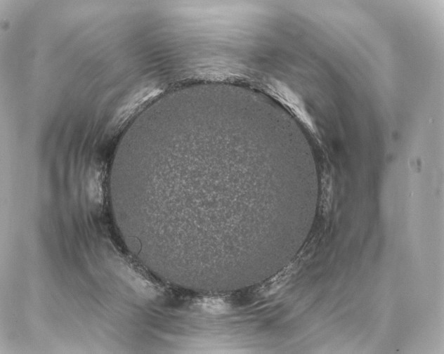 X0000086970114200704161553