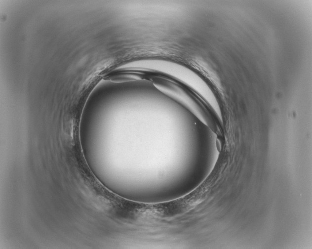 X0000086970115200704161553