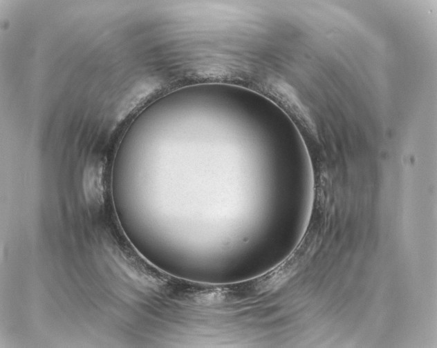 X0000086970116200704161553