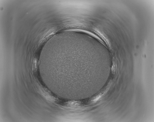 X0000086970117200704161553