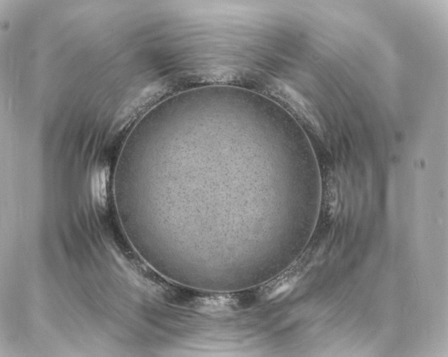 X0000086970118200704161553