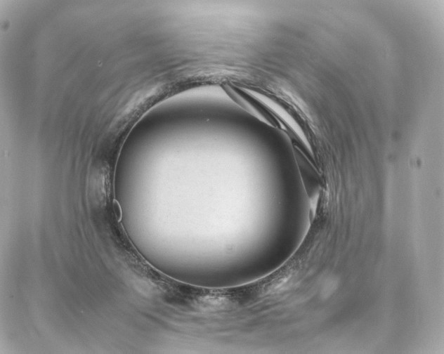 X0000086970119200704161553