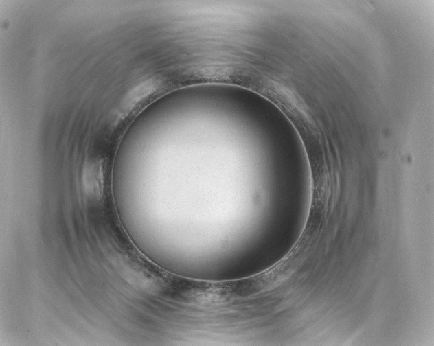 X0000086970120200704161553