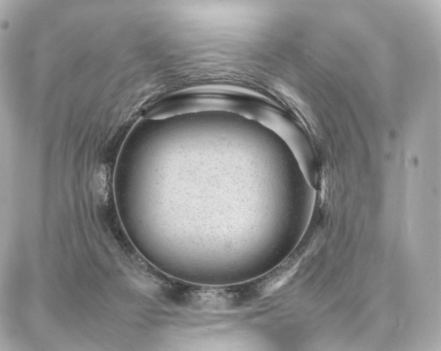 X0000086970121200704161553