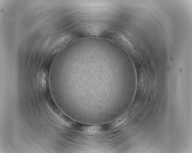 X0000086970122200704161553