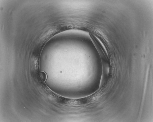 X0000086970123200704161553