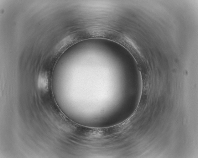 X0000086970124200704161553