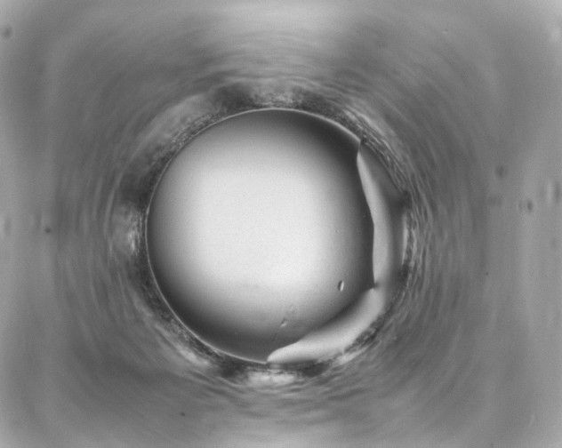 X0000086970125200704161553