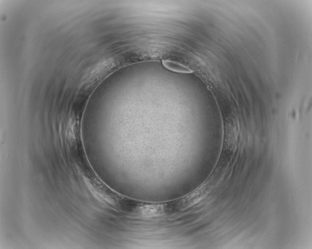 X0000086970126200704161553