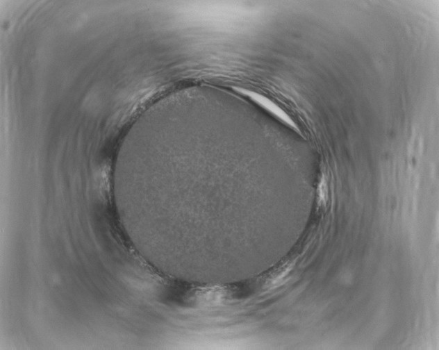 X0000086970127200704161553